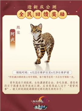 帝国时代传奇私服